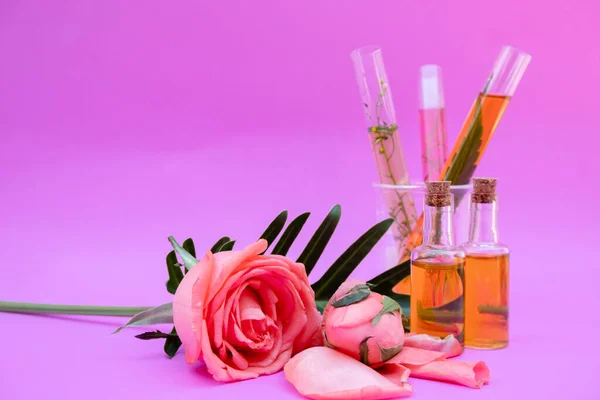 Aceite Esencial Botellas Extraídas Rosa — Foto de Stock