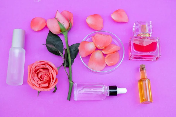 从玫瑰中提取的瓶子中提取的精油 — 图库照片