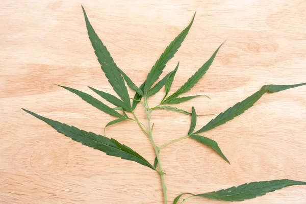 Cannabisblätter Auf Dem Holzboden — Stockfoto