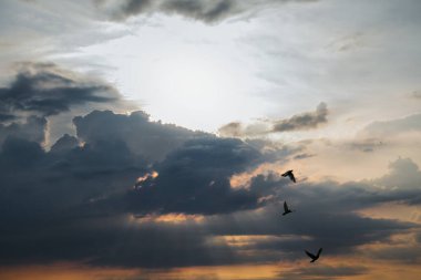 - Günaydın. Güneş ışınları ağır yağmur bulutlarını delip geçiyor. Kuşlar gökyüzünde uçar