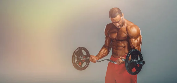 BodyBuilder Doing Barbell Bicep Curls. Studio Shot. Copy Space