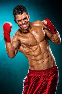 Karışık Dövüş Sanatları Savaşçısı, Mma Gölge Boksu