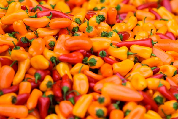 Sebze Pazarı. Pazar raflarına taze kırmızı biber konmuş.