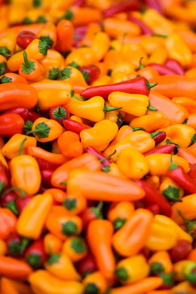 Sebze Pazarı. Pazar raflarına taze kırmızı biber konmuş.