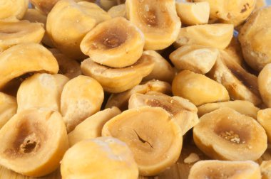 fındık güzel makro