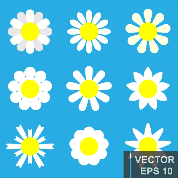 Set di fiori di camomilla. Stile piatto. Petali bianchi. Per il tuo design . — Vettoriale Stock