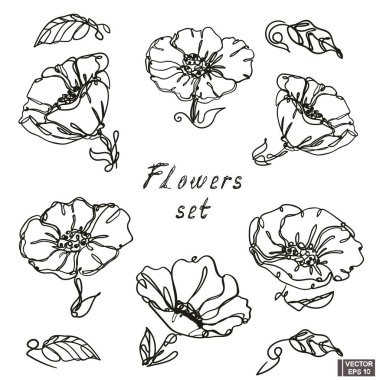 Vektör çizimi. El yapımı çiçek çizimi çizimi. Koleksiyon ana hatları karalama çiçeği.