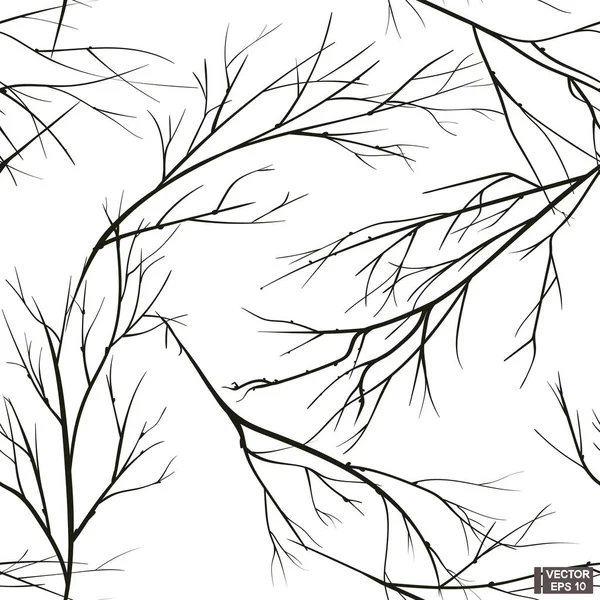 Vector Illustration Black White Branch Tree Silhouette Seamless Patterns — Stock Vector