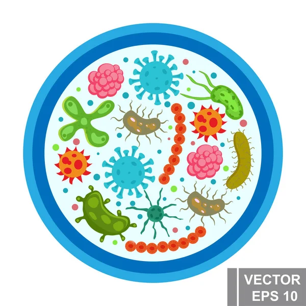 細菌とウイルス 顕微鏡下で見る 病気だ デザインのために — ストックベクタ