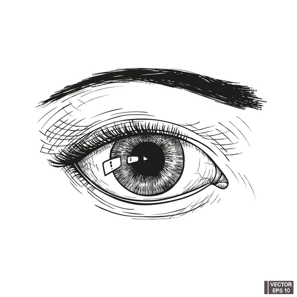 Vector Illustration Hand Drawn Vintage Female Eye Sketch Engraving Style — Stock Vector