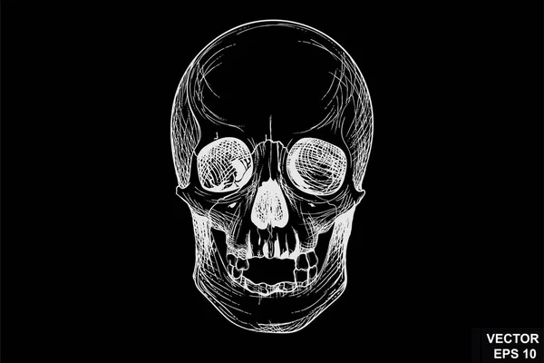 Crâne Des Sur Une Planche Craie Croquis Pour Votre Design — Image vectorielle
