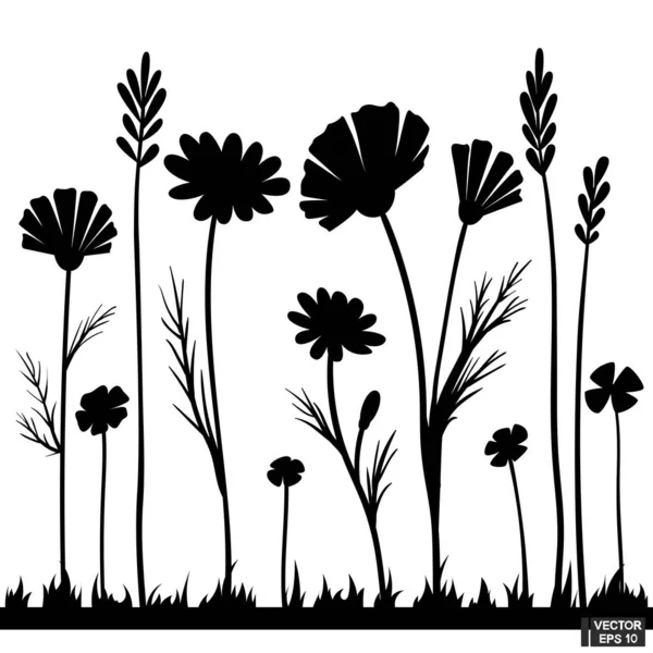 Vektorillustration Set Von Schwarzen Silhouettenblumen Wiesenwildpflanzen Element Für Gestaltung lizenzfreie Stockvektoren