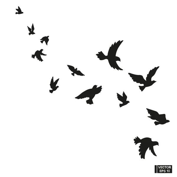 Ilustracja Wektora Zestaw Czarnej Sylwetki Latających Ptaków Stado Gołębi — Wektor stockowy
