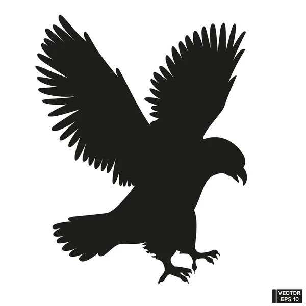 Black Silhouette Beautiful Eagle Vector White — Stock Vector