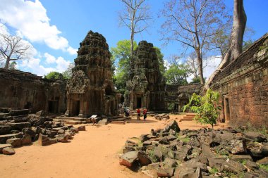Angkor wat ile ağaç
