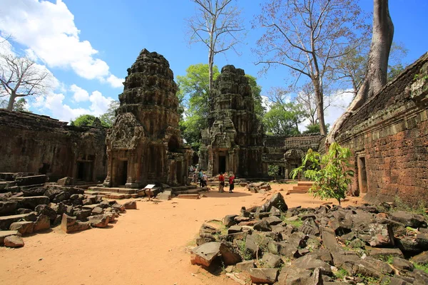 Angkor wat mit dem Baum — Stockfoto