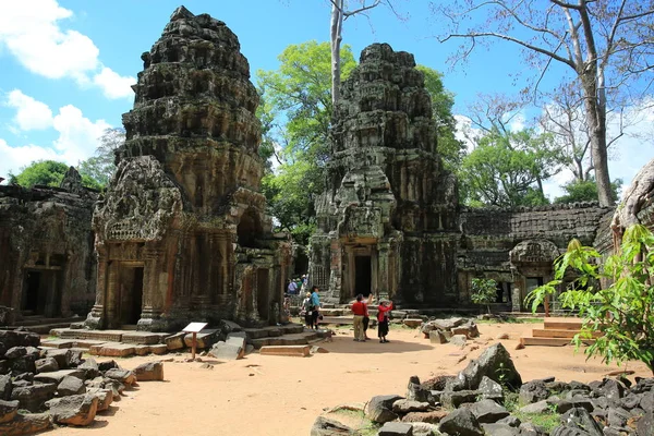 Angkor wat con el árbol — Foto de Stock