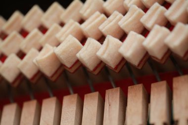 Piyano ayrıntı içinde