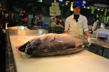 Tuna shirahama Balık pazarı