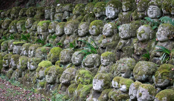 Falling leaf on the head of buddha stone carving statue, eye closed in japan kyoto — Stock Photo, Image