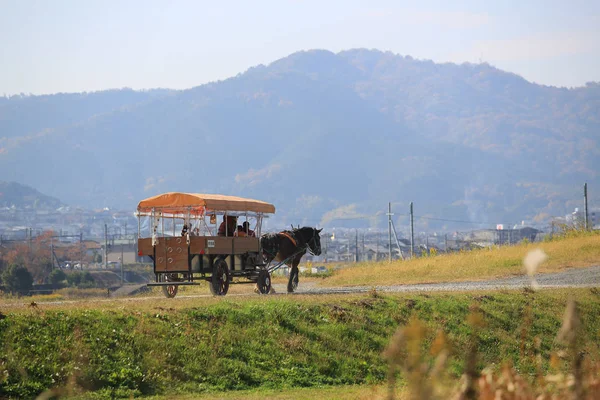 Hodowla krajobraz pole w pobliżu Kioto, Japonia — Zdjęcie stockowe