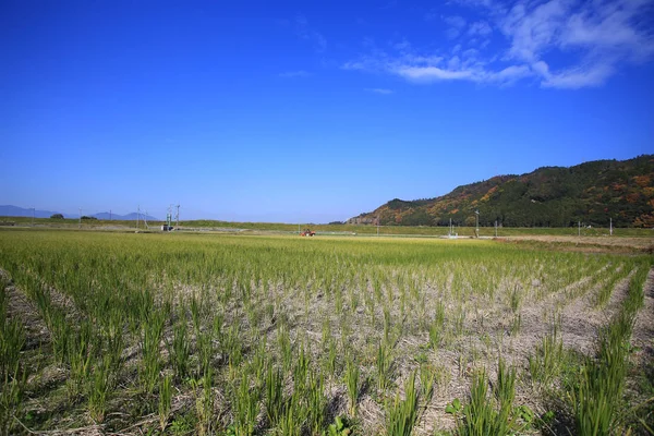 Champ agricole paysage près de kyoto, Japon — Photo