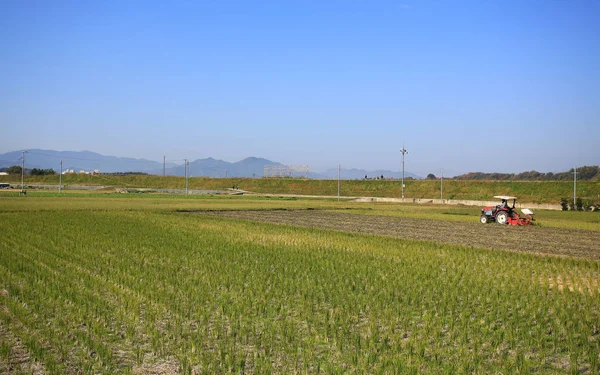 Champ agricole paysage près de kyoto, Japon — Photo