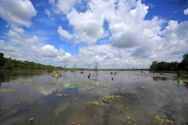 Kamboçya'da Neak Stan