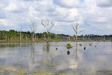 Kamboçya'da Neak Stan