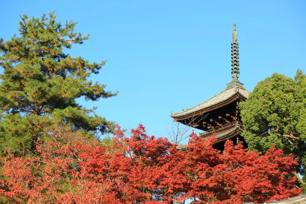 Torre vieja kyoto — Foto de Stock