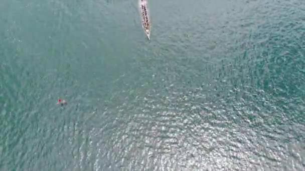 Dragão Barco Corrida Hong Kong — Vídeo de Stock
