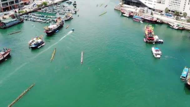 Drake Båt Racing Hong Kong — Stockvideo