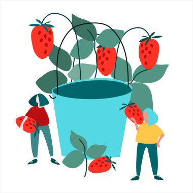 Çilek toplayan kadınlar soyut düz stil vektör çizimleri yaparlar. Hasat konsepti. Tarım turizmi