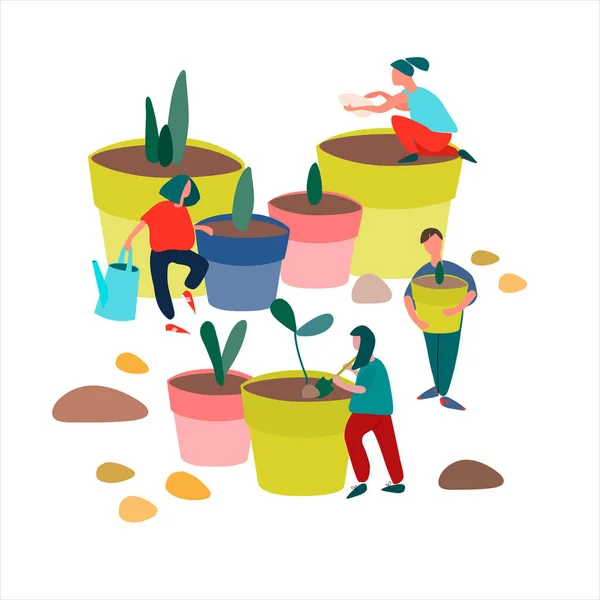 Pessoas plantando mudas ilustração vetorial. Conceito de trabalho de primavera. Plantas de Plug anúncio de vendas — Vetor de Stock