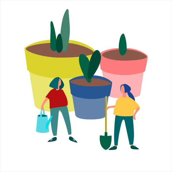 Mulheres plantando mudas ilustração vetorial. Conceito de trabalho de primavera. Plantas de Plug anúncio de vendas — Vetor de Stock