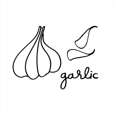 Sarımsak soğanı ve karanfil. El yazısı olan siyah ve beyaz vektör çizimi
