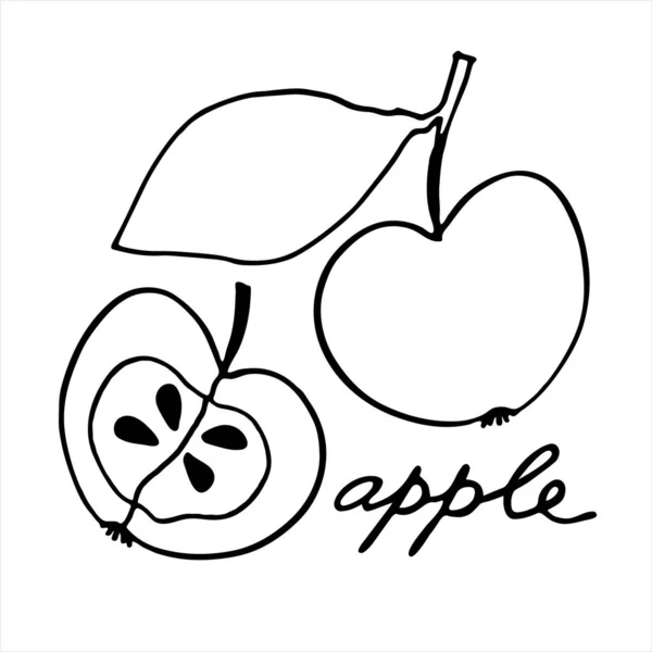 Celé jablko a jeho půlku. Černobílá vektorová ilustrace s ručním písmem — Stockový vektor