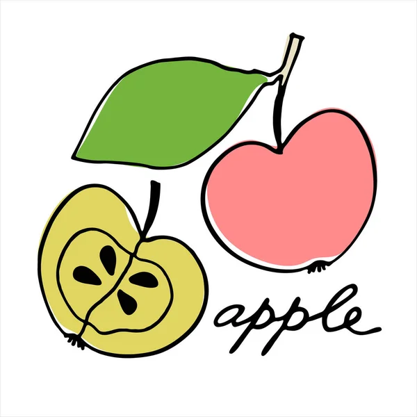 Une pomme entière et la moitié. Illustration vectorielle colorée avec lettrage main — Image vectorielle