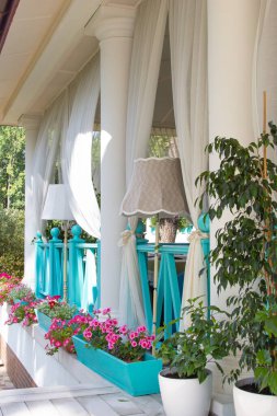 Botanik. Kafelerde ve restoranlarda peyzaj yapma kavramı. Beyaz tencerede kırmızı ve beyaz sardunya. Ev ve sokak dekorasyonu için beyaz bir tencerede büyük incir ve gül ağaçları. İç mekanlar. Balkonlar ve evler