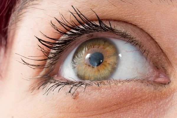 Nahaufnahme einer schönen Frau grüne Augen — Stockfoto