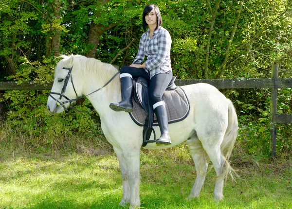 Young beautiful brunette woman riding horse — Stock Photo, Image