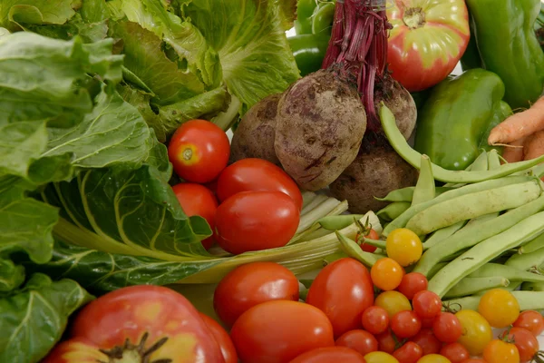 Sortiment sezónní zeleniny — Stock fotografie