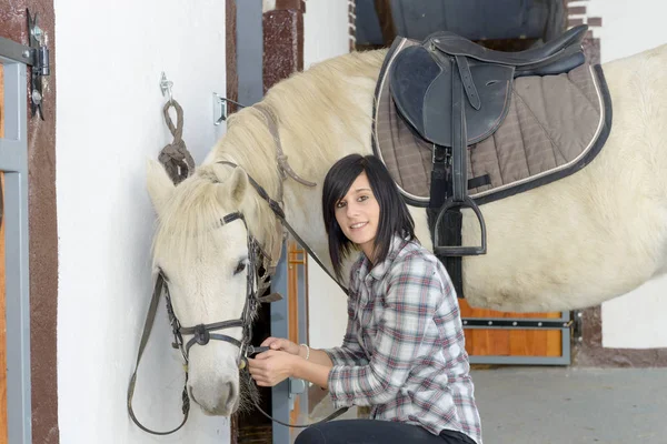 Красива молода дівчина і білий кінь — стокове фото