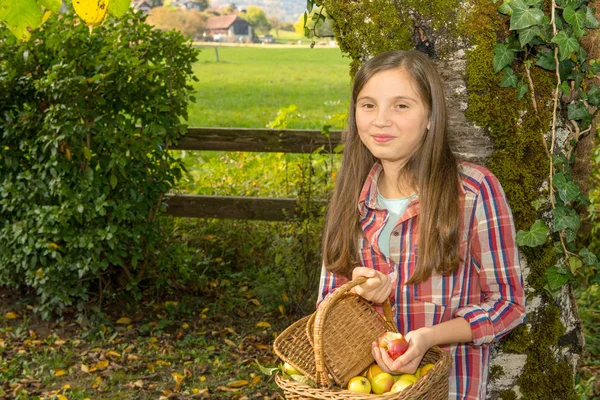 Jovem pré-adolescente pegando maçãs no jardim — Fotografia de Stock