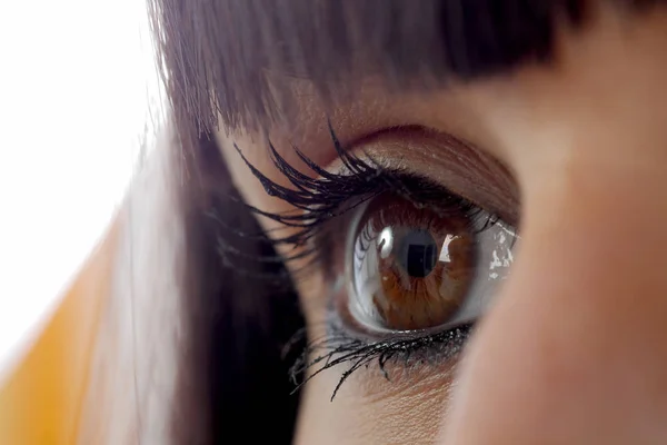 Schöne weibliche braune Augen aus nächster Nähe — Stockfoto