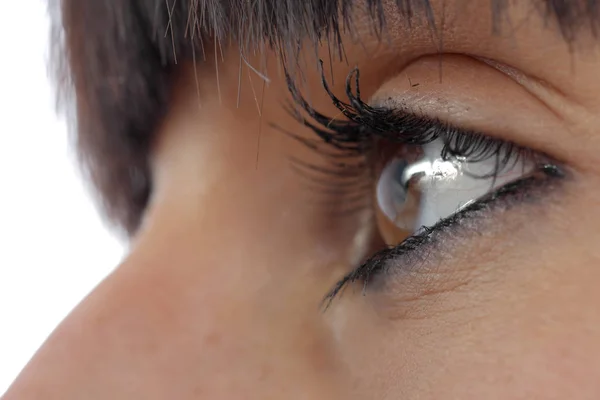 Bela fêmea olhos castanhos fechar — Fotografia de Stock