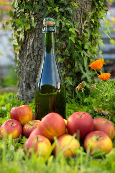 Flasche normannischer Apfelwein mit Äpfeln im Gras, — Stockfoto