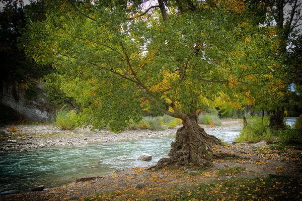Vista do rio Drome no outono, França — Fotografia de Stock