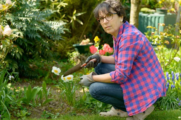 Fröhliche brünette Frau pflanzt Blumen im Garten — Stockfoto