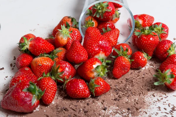 The strawberries with  dark chocolate powder — Stock Photo, Image